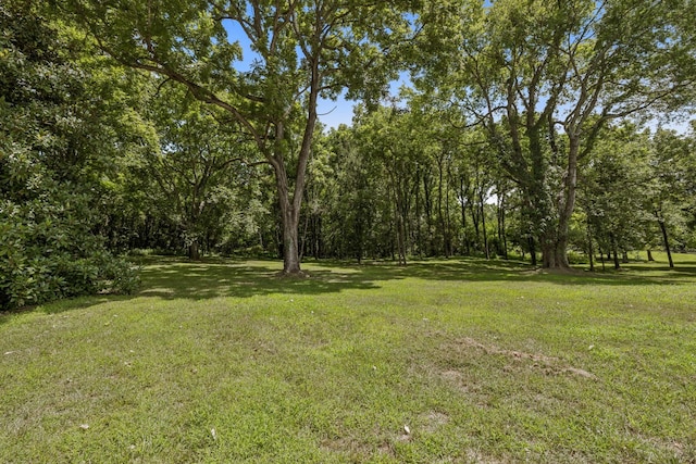 670 Northridge Rd, Columbia, TN 38401 - photo 38
