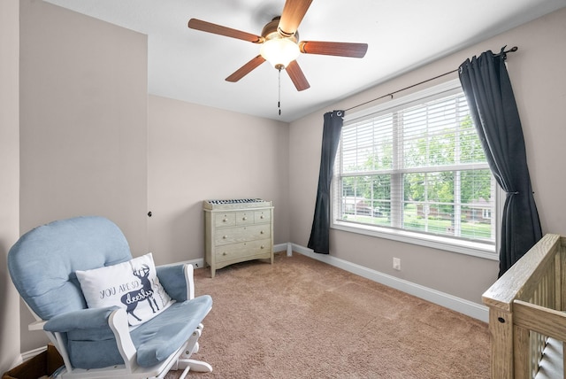 313 Peterson Ln, Clarksville, TN 37040 - photo 22