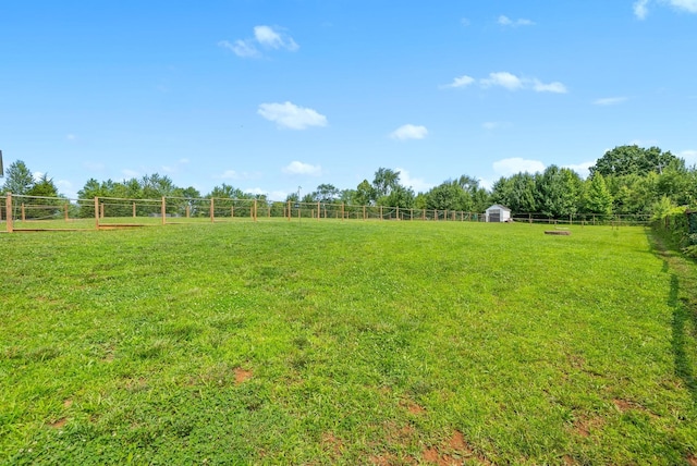 313 Peterson Ln, Clarksville, TN 37040 - photo 29