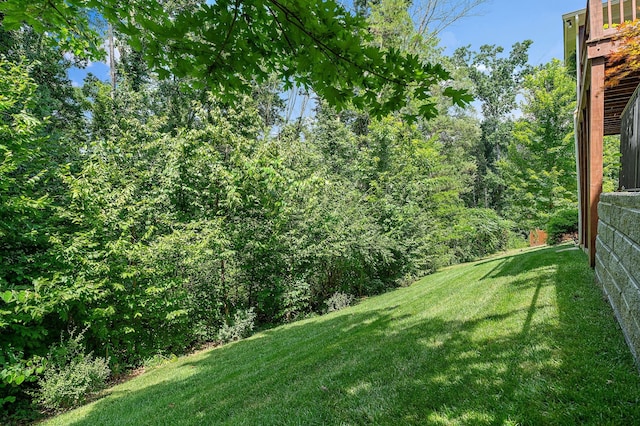 1513 Davidge Dr, Nashville, TN 37221 - photo 43
