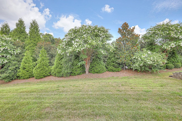 227 Antebellum Ln, Mount Juliet, TN 37122 - photo 43