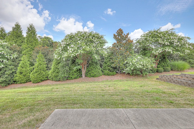 227 Antebellum Ln, Mount Juliet, TN 37122 - photo 42