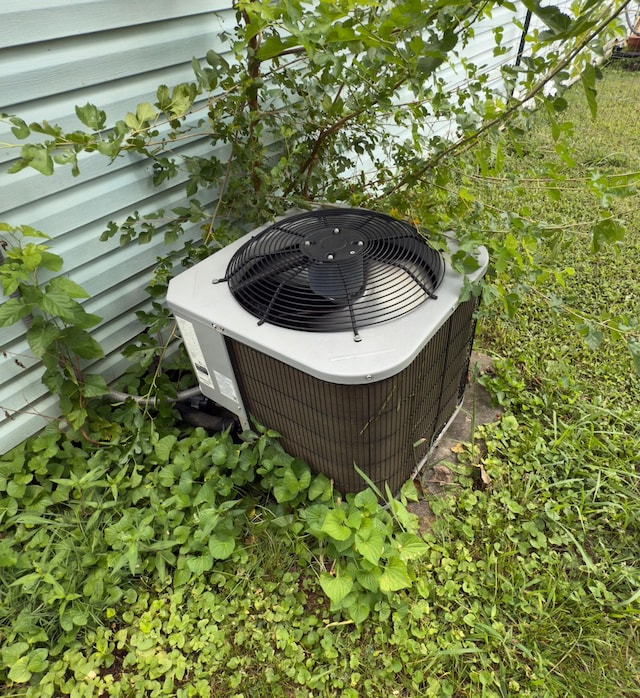 1105 Cumberland St, Decherd, TN 37324 - photo 8