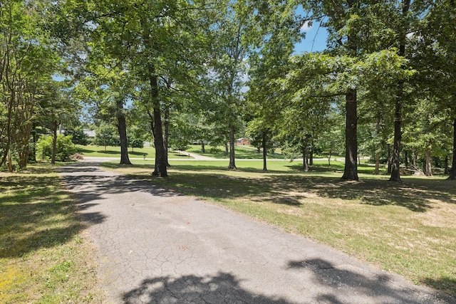 109 S Hummingbird Ln, Dickson, TN 37055 - photo 6