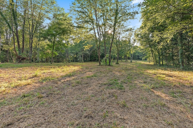 2821 Double Branch Rd, Columbia, TN 38401 - photo 4