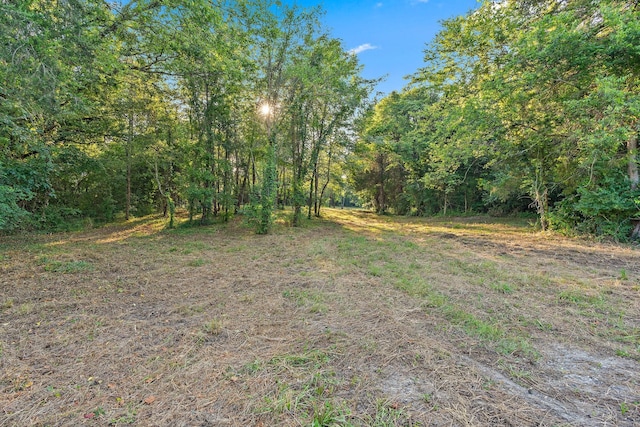 2821 Double Branch Rd, Columbia, TN 38401 - photo 3