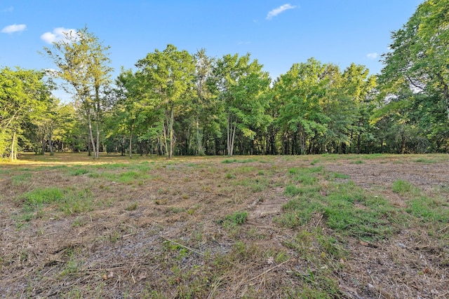2821 Double Branch Rd, Columbia, TN 38401 - photo 5