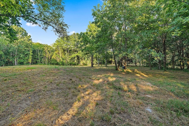 2821 Double Branch Rd, Columbia, TN 38401 - photo 8