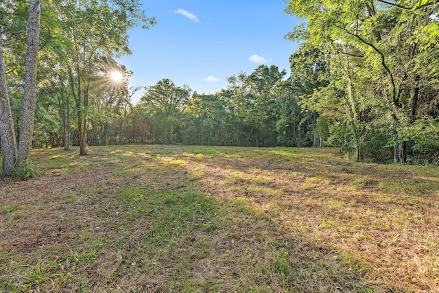 2821 Double Branch Rd, Columbia, TN 38401 - photo 1