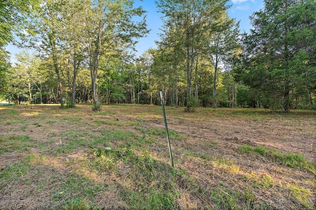 2821 Double Branch Rd, Columbia, TN 38401 - photo 7