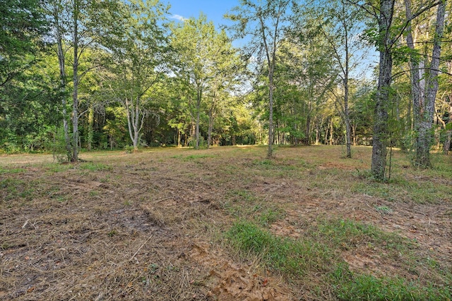 2821 Double Branch Rd, Columbia, TN 38401 - photo 6