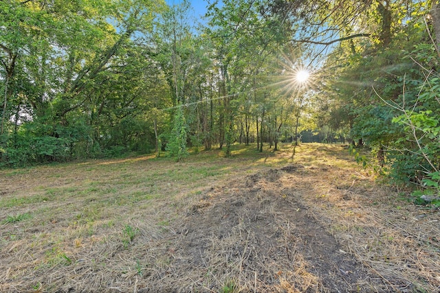 2821 Double Branch Rd, Columbia, TN 38401 - photo 2