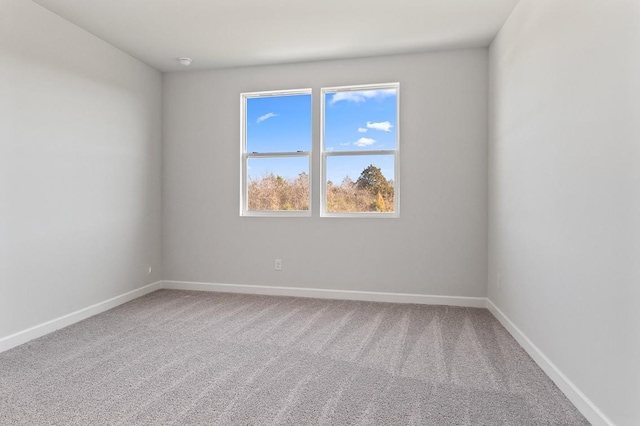 405 Gladstone Way, Spring Hill, TN 37174 - photo 16