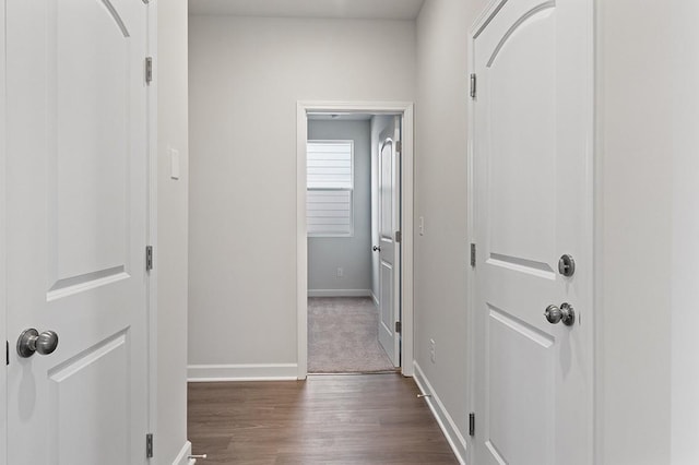 405 Gladstone Way, Spring Hill, TN 37174 - photo 27