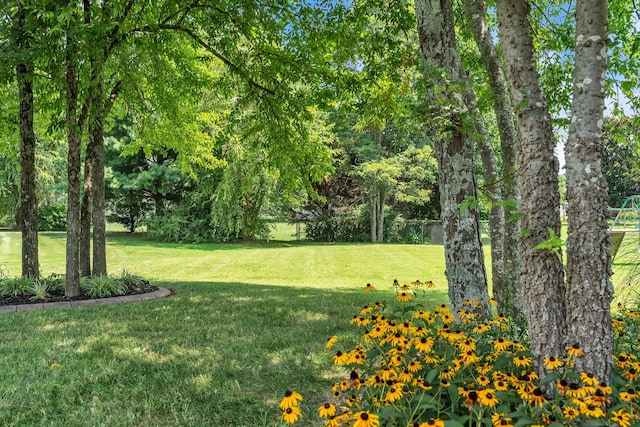 5108 Saint Ives Dr, Murfreesboro, TN 37128 - photo 43