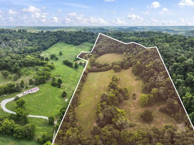 199 Gilmore Ln, Bell Buckle, TN 37020 - photo 6