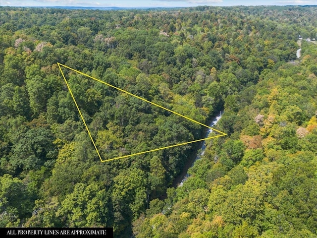 0 Hickman Springs Rd, Centerville, TN 37033 - photo 1