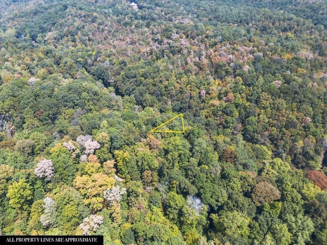 0 Hickman Springs Rd, Centerville, TN 37033 - photo 3