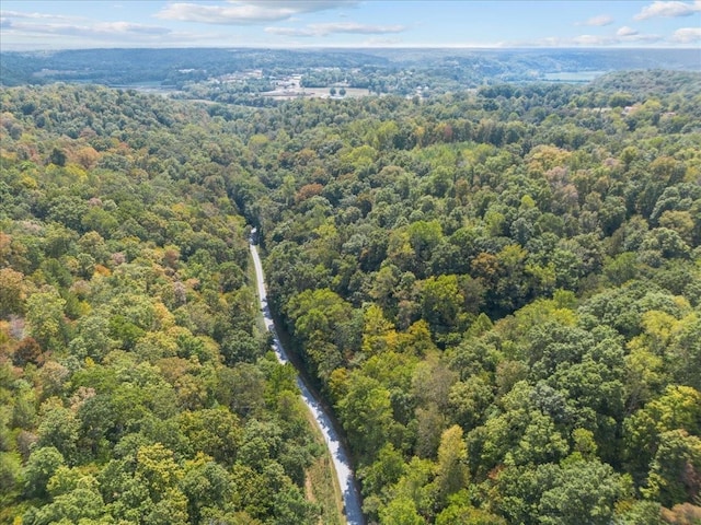 0 Hickman Springs Rd, Centerville, TN 37033 - photo 16