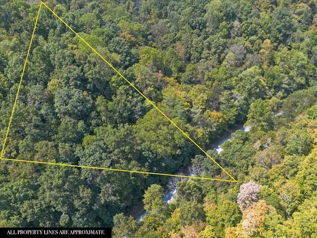 0 Hickman Springs Rd, Centerville, TN 37033 - photo 8