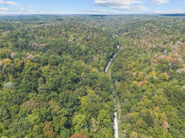 0 Hickman Springs Rd, Centerville, TN 37033 - photo 12