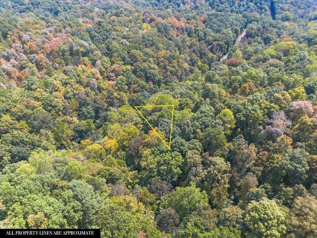 0 Hickman Springs Rd, Centerville, TN 37033 - photo 4