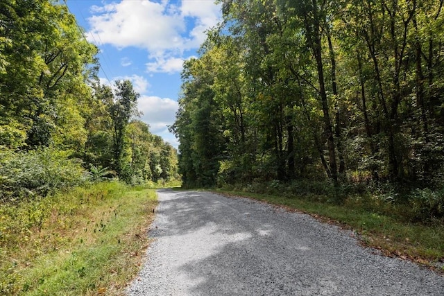 0 Hickman Springs Rd, Centerville, TN 37033 - photo 10