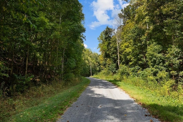 0 Hickman Springs Rd, Centerville, TN 37033 - photo 9