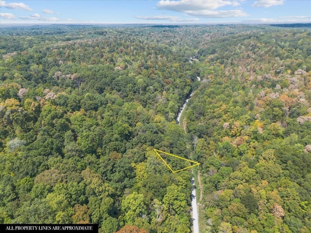 0 Hickman Springs Rd, Centerville, TN 37033 - photo 2
