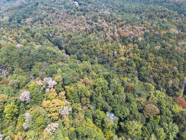 0 Hickman Springs Rd, Centerville, TN 37033 - photo 13