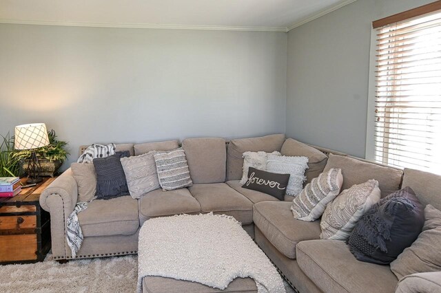 801 2nd Ave, Fayetteville, TN 37334 - photo 10
