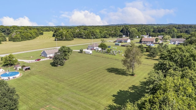 4495 Pyles Rd, Chapel Hill, TN 37034 - photo 45