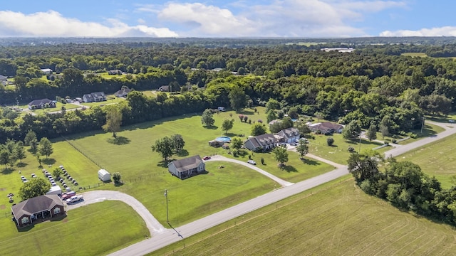 4495 Pyles Rd, Chapel Hill, TN 37034 - photo 47