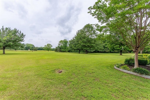 185 Baxter Rd, Counce, TN 38326 - photo 10