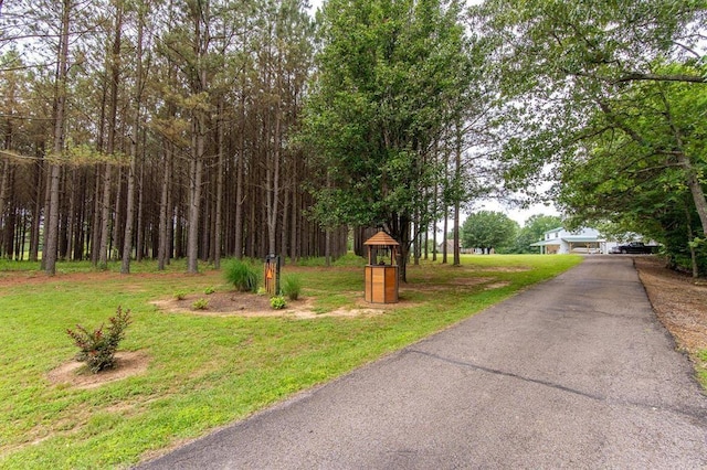185 Baxter Rd, Counce, TN 38326 - photo 15