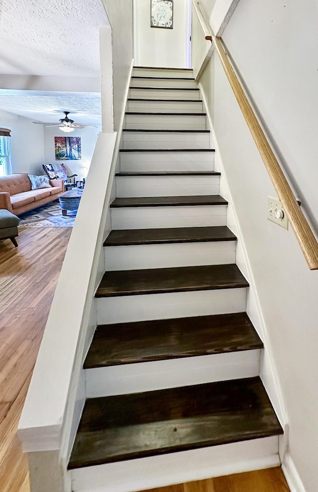 2603 Deer Creek Ln, White House, TN 37188 - photo 20