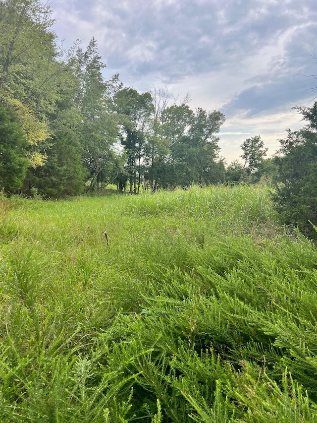 0 Hix Rd, Gordonsville, TN 38563 - photo 2