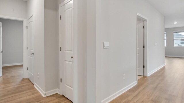 6698 Japonica Ln, White House, TN 37188 - photo 52