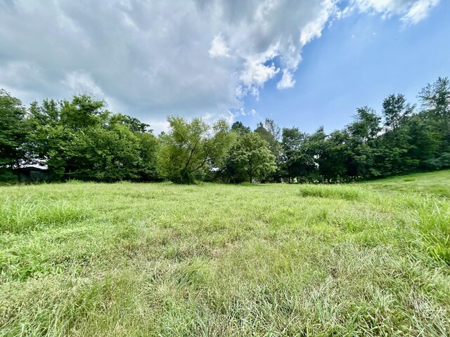 1962 Hidden Hills Rd, Pulaski, TN 38478 - photo 32