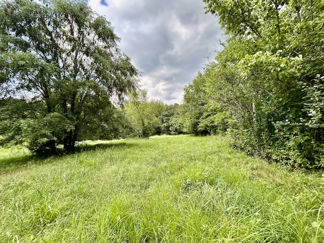 1962 Hidden Hills Rd, Pulaski, TN 38478 - photo 30