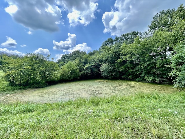 1962 Hidden Hills Rd, Pulaski, TN 38478 - photo 31