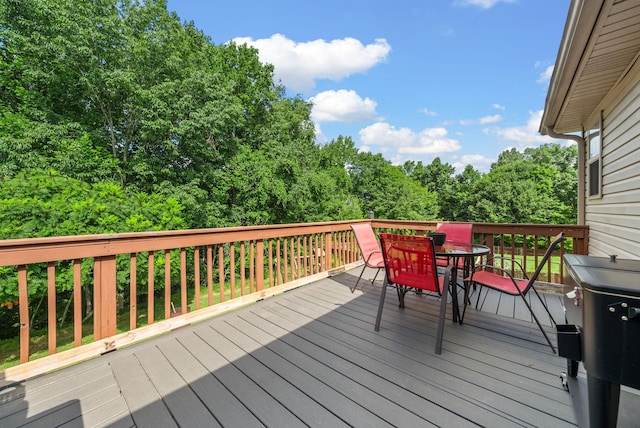 2916 Sharpie Dr, Clarksville, TN 37040 - photo 31