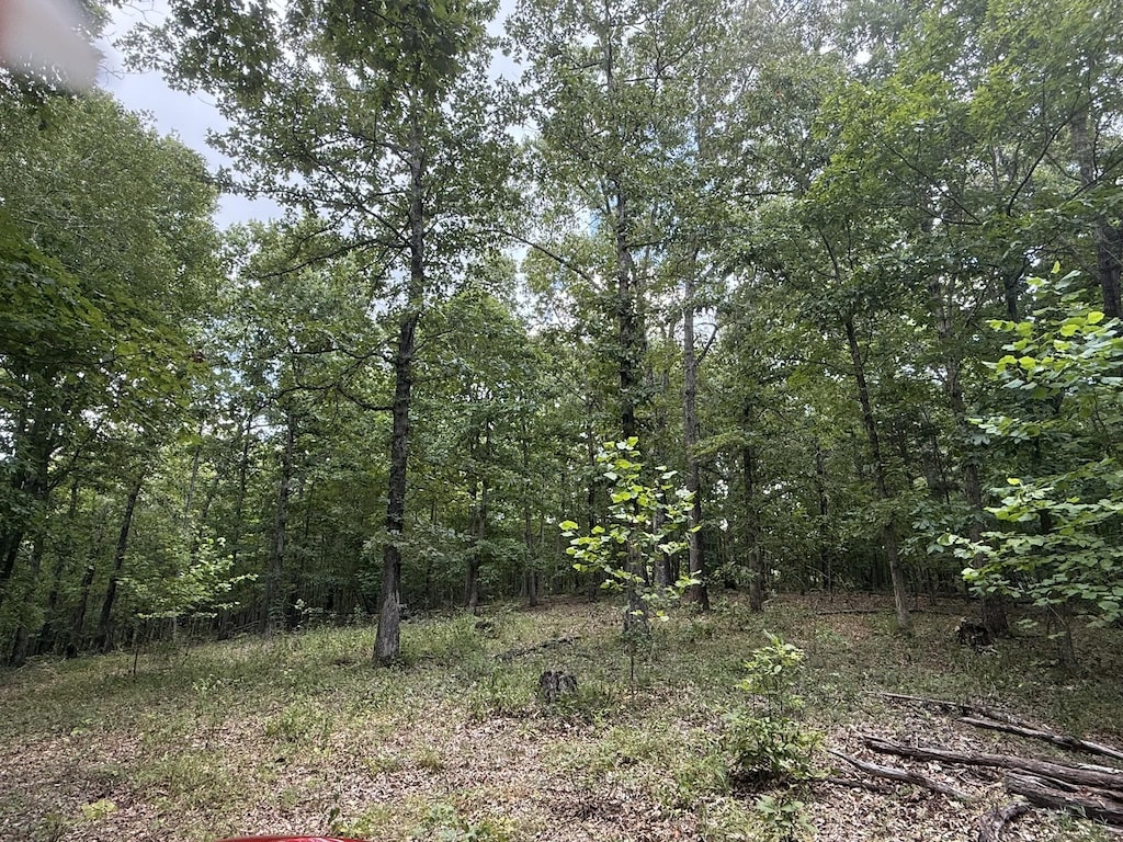 1338 Southside Rd, Southside, TN 37171 - photo 3