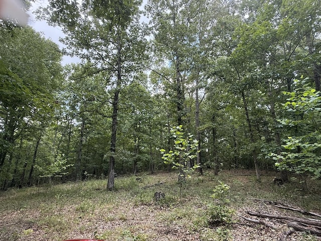 1338 Southside Rd, Southside, TN 37171 - photo 3