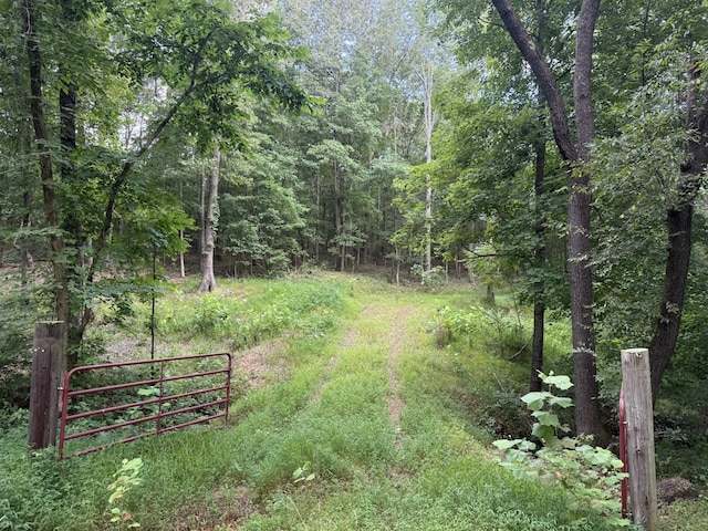 1338 Southside Rd, Southside, TN 37171 - photo 1