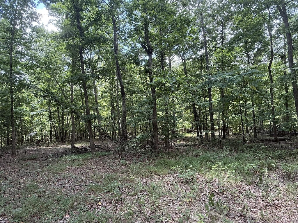 1338 Southside Rd, Southside, TN 37171 - photo 2