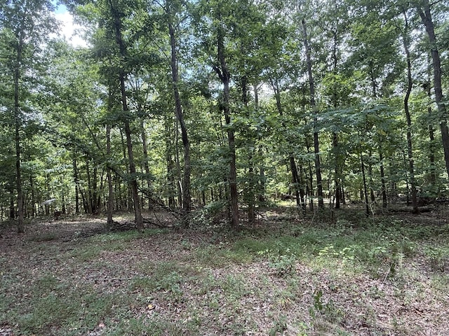 1338 Southside Rd, Southside, TN 37171 - photo 2