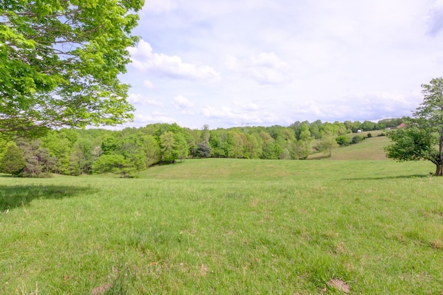 3915 Oak Ridge Rd, Palmyra, TN 37142 - photo 8