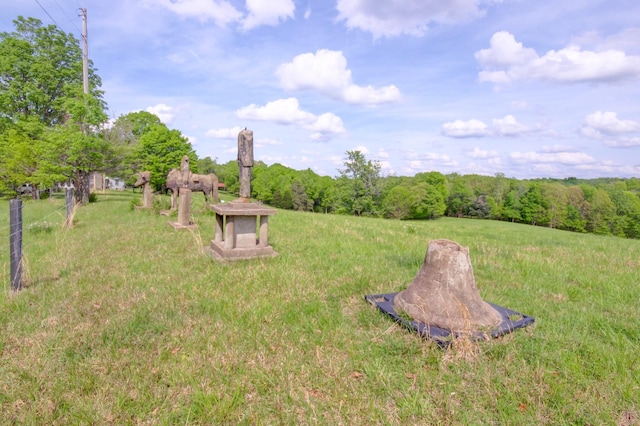 3915 Oak Ridge Rd, Palmyra, TN 37142 - photo 14