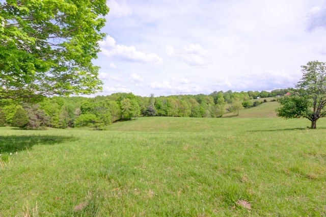 3915 Oak Ridge Rd, Palmyra, TN 37142 - photo 6
